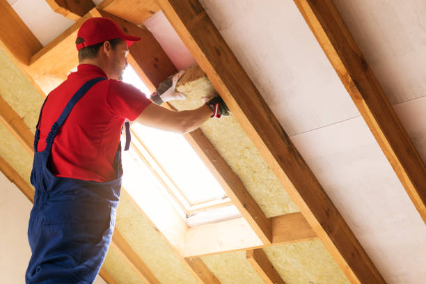 Types of Insulation We Offer in Alpine, CA